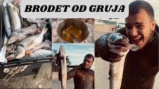 Brodet od Gruja i Podvodni Ribolov Recept za brodet i riba sa gredela [upl. by Niggem202]