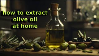 DIY How to Make Extra Virgin Olive Oil at Home  Using Household Equipment [upl. by Iclehc]