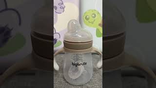 Big Brute Training Bottle 240ml Grey [upl. by Ayota430]