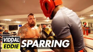 VIDDAL RILEY VS EDDIE HALL  FULL SPARRING VIDEO [upl. by Berfield]