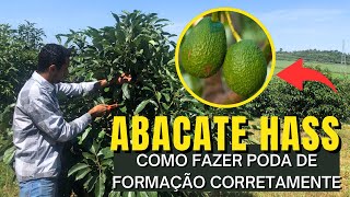 Como Cortar Abacate  Gourmet a dois  Dicas amp Técnicas [upl. by Idmann]