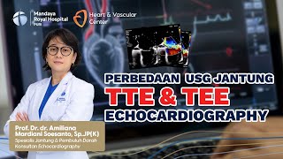 Perbedaan Fungsi Echocardiography TTE amp TEE Dalam Menilai Kelainan Jantung  Prof Dr dr Amiliana [upl. by Arretak]