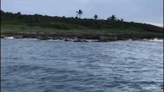 Lobster Hunting at ambergris Caye Belize [upl. by Ludwig]