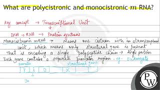 What are polycistronic and monocistronic \ m \ RNA [upl. by Calisa]