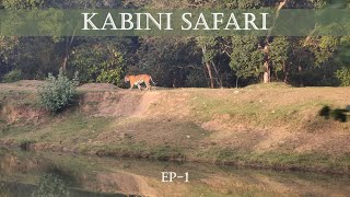 Kabini Safari  Tiger Sighting  EP  1 [upl. by Jola765]