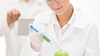 Biotechnology and Its Revolutionary Applications biotechnology class12 biology [upl. by Bran]