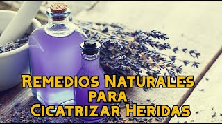 Remedios Naturales para Cicatrizar Heridas [upl. by Yorick]