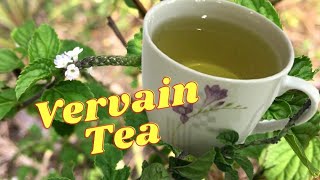 Vervain Tea HEALTH BENEFITS  HOW to MAKE Vervain Tea  Remedy for RESPIRATORY PROBLEMS [upl. by Kuo732]