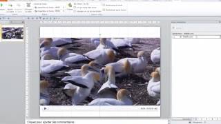 PowerPoint 2010  Options de lecture dun fichier vidéo [upl. by Nesmat357]