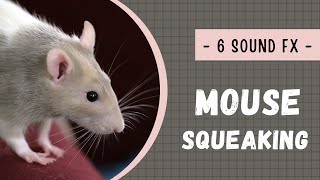 Mouse squeaking sound effects no copyright [upl. by Ennayr]