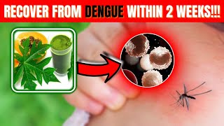 Boost White Blood Cells During Dengue With Top Super foods dengue dengueawareness facts [upl. by Niwrud975]