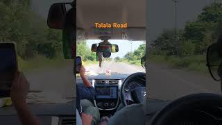 Talala Road [upl. by Ylil]