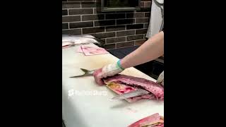 【Cuttingskills】 Amberjack Fillet 2 [upl. by Renfred]