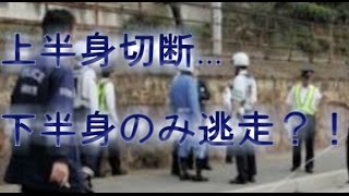 上半身切断！バイク事故！ [upl. by Anselmi430]