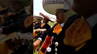 Las Mañanitas con Mariachi mariachisenmadrid [upl. by Ambrogio253]