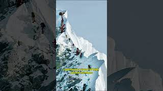 The Collapse at Hillary Step Tragedy Strikes Everest 2024 everest [upl. by Hershell]