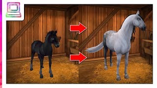 Star Stable Horses  My Lusitano Horse Evolution [upl. by Asia]