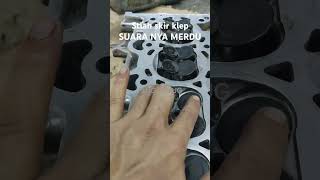 Cylinderhead cerato [upl. by Hollister637]