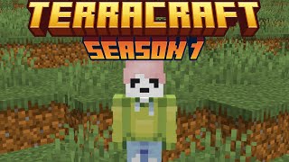 THE START  TerraCraft SMP  LIVE [upl. by Nonnarb]