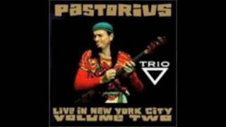 Jaco Pastorius Trio  Dear Prudence [upl. by Notyard]