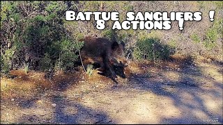 ☆chasse aux sangliers 20212022  8 actions ☆ [upl. by Ressan711]