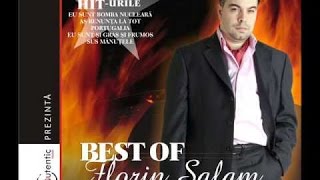 Florin Salam VIN DOLARII CA PE BANDA 2012 LIVE [upl. by Fawna]