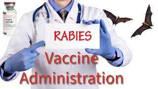 Rabies Vaccination What You Need to Know [upl. by Saidee392]