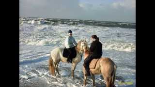 gut Pferde Reiten am Meer  Strandritte Sylt  geniale Erlebnisse  ohne Dressur amp Springen 2014 [upl. by Nesiaj]