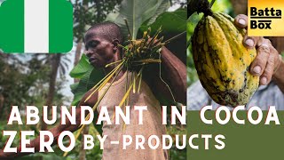 Experience Cocoa farming in Nigeria [upl. by Nirrep]