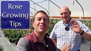 Rose Growing Tips from the Experts [upl. by Gaeta]