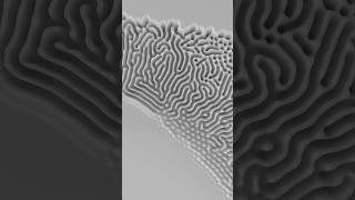 GrayScott reaction diffusion simulations on a plate etched and embossed houdini vex redshift3d [upl. by Edgerton]