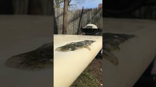 Surfboard repair gone wrong Destroys surf board exothermic surfboard repair resin epoxy [upl. by Cloris]