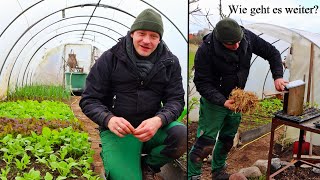 Garten im März  Radieschen kann ich schon ernten  Alle Schnecken sind schon da [upl. by Ileana]