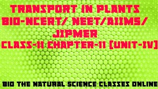 BiologyTransport in PlantsEpisode8Ch1111th NCERTNEETUG 202122AIIMSJIPMERPlant Physiology [upl. by Sokem]