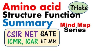 Amino acid biochemistry  amino acid structure and function [upl. by Noyad]