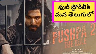 Pushpa Telugu Full Movie 2022  Allu ArjunRashmika MandannaFahadh Faasil  HD Best Facts amp Reviews [upl. by Yart]