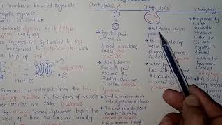 Lysosomes Structure And Functions  Federal And KPK Board  Ali Academy [upl. by Coppins731]