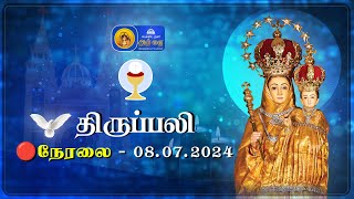 🔴 LIVE  Holy Mass in Tamil  08th July 2024  Annai Vailankanni Shrine  Besant Nagar Annai [upl. by Manvil]