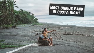 TORTUGUERO COSTA RICA [upl. by Bohlin]