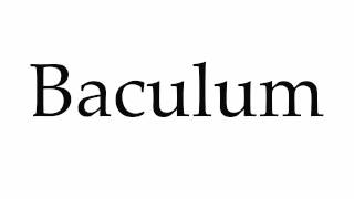 How to Pronounce Baculum [upl. by Pegasus]