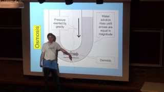 Osmosis and Osmotic Pressure [upl. by Menard]