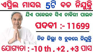 April Month Top 5 Odisha Govt Jobs 2024  11699 Post  10th Pass Odisha Jobs [upl. by Lari]