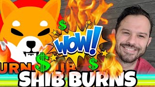 Shiba Inu Coin  The SHIB Burns Are Complete [upl. by Loats]