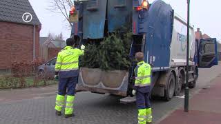 HvB Nieuws  Kerstbomen worden van straat geplukt in Hilvarenbeek [upl. by Celesta590]