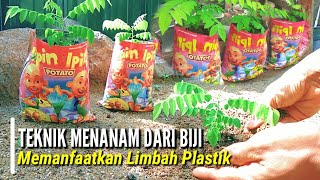 Teknik cara menanam belimbing wuluh  Semai biji belimbing supaya tumbuh  How to plant starfruit [upl. by Grubman687]