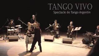 TANGO VIVO SPECTACLE TANGO ARGENTIN FRANCE LILLE HAUTS DE FRANCE NORD [upl. by Sampson]