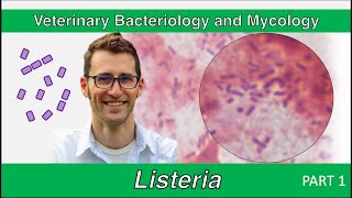 Listeria Part 1  Veterinary Bacteriology and Mycology [upl. by North]