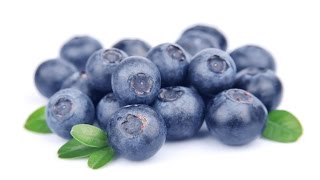 Super Food Blueberries prevent cancer heart disease amp more [upl. by Bonita968]