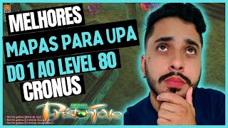 MELHORES MAPAS PARA UPA DO 1 AO LEVEL 80  Priston Tale pristontalebrasil [upl. by Cartan]