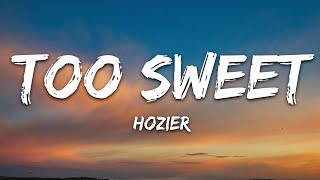 Hozier  Too Sweet Lyrics [upl. by Tranquada]